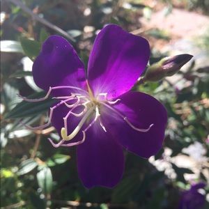 Meet your Posher, Ella